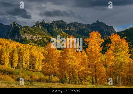 Approaching Storm, Espen, Cimarron Ridge, Abgrund Peak, Uncompahgre National Forest, Colorado Stockfoto