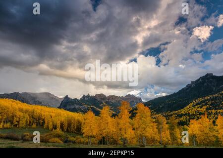 Approaching Storm, Espen, Cimarron Ridge, Abgrund Peak, Uncompahgre National Forest, Colorado Stockfoto