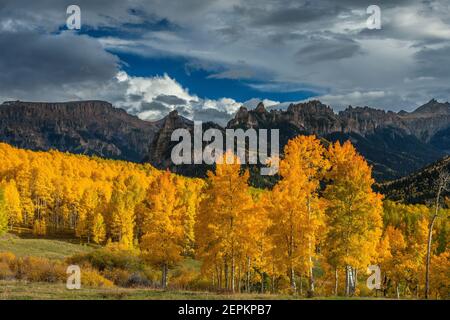 Approaching Storm, Espen, Cimarron Ridge, Abgrund Peak, Uncompahgre National Forest, Colorado Stockfoto