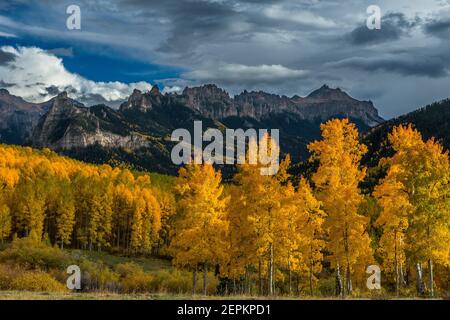 Approaching Storm, Espen, Cimarron Ridge, Abgrund Peak, Uncompahgre National Forest, Colorado Stockfoto