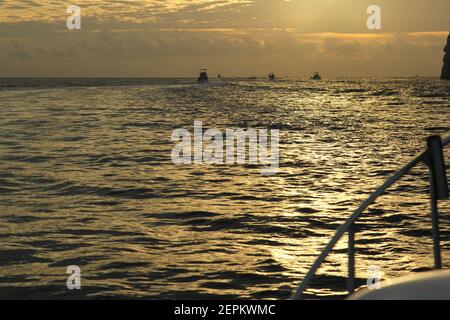 Sonnenaufgang auf der Fischereiflotte, Cabo San Lucas Mexiko Stockfoto