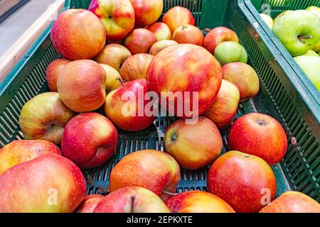 Viele frische rote Äpfel im Supermarkt, Haufen rote Äpfel als Hintergrund, Red Gala Textur Stockfoto