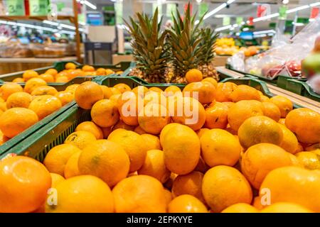 Frische Orangen, Mandarinen und Clementinen im Supermarkt. Verschiedene Zitrusfrüchte auf der Markttheke Stockfoto