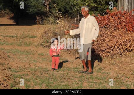 Ein schönes indisches kleines Kind, das mit einem Großvater auf dem Feld arbeitet, Indien. Konzept für Indiens Vergangenheit lächelndes Kind, Kindheit, Kinderroutine Stockfoto