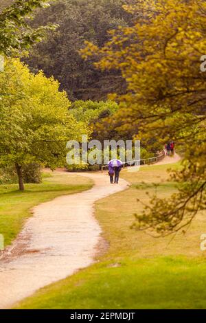 Ein regnerischer Tag in einem Naturpark, wo ein Paar, das sich einen Sonnenschirm teilt, auf einem unbefestigten Pfad unter dem Regen läuft. Der Weg führt zwischen Bäumen und landschaftlich reizvollen grassl Stockfoto