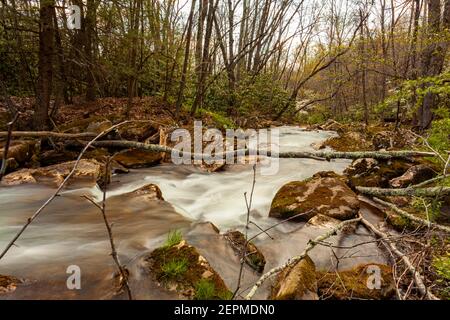 Eine Waldszene in West Virginia mit einem Gebirgsquellwasserbach steigt hinunter die Appalachian Berge. Das Langzeitbelichtungsbild zeigt Silky smoo Stockfoto