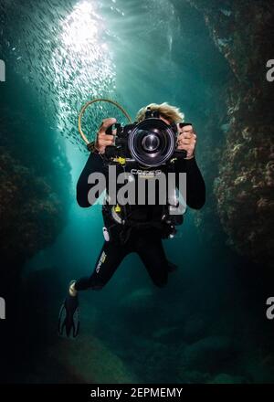 Unterwasserfotograf in Los Islotes, La Paz, Baja California Sur, Mexiko Stockfoto