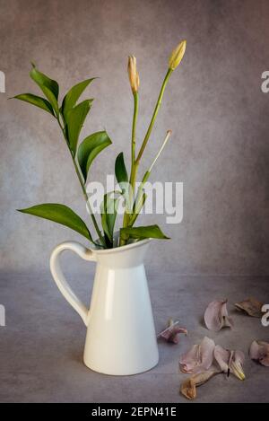 Trockene, welke Tulpenblüten und grüne Pflanzen auf einer weißen Vase und Blätter auf einem grauen Vintage-Hintergrund. Stockfoto