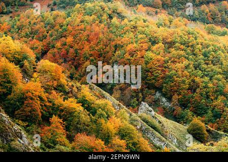 Malerische Landschaft von riesigen hügeligen Gelände mit gelben und bedeckt Grüne Bäume am Herbsttag Stockfoto