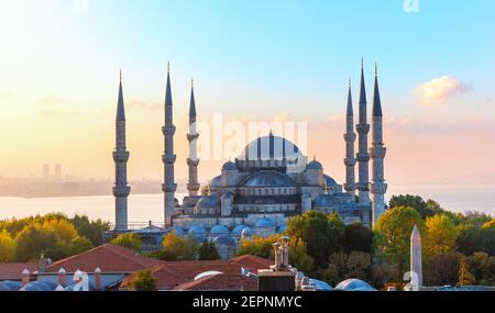Die Blaue Moschee, auch als Sultan Ahmet Moschee bekannt, Istanbul Stockfoto