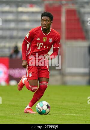 München, Deutschland. 27th. Februar 2021. Alphonso DAVIES, FCB 19 im Spiel FC BAYERN MÜNCHEN - 1.FC KÖLN 5-1 1.Deutsche Fußball Liga am 27. Februar 2021 in München, Deutschland Saison 2020/2021, Spieltag 23, 1.Bundesliga, FCB, München, 23.Spieltag, Köln. © Peter Schatz / Alamy Live News - die DFL-VORSCHRIFTEN VERBIETEN DIE VERWENDUNG VON FOTOGRAFIEN als BILDSEQUENZEN und/oder QUASI-VIDEO - Stockfoto