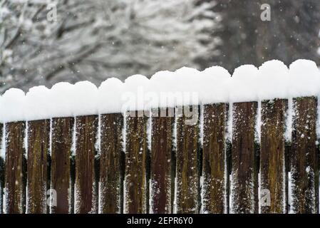 Glatte Schneekappen auf den Holzbohlen des Gartenzauens. Stockfoto