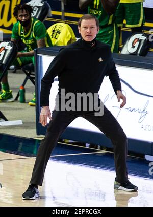 Hass Pavilion Berkeley Calif, USA. Februar 2021, 27th. CA U.S.A. Oregon Cheftrainer Dana Altman beim NCAA Männer Basketball Spiel zwischen Oregon Ducks und den California Golden Bears 74-63 Sieg im Hass Pavilion Berkeley Calif. Thurman James/CSM/Alamy Live News Stockfoto