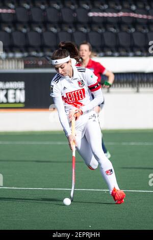 AMSTELVEEN, NIEDERLANDE - FEBRUAR 27: Eva de Goede von Amsterdam während des holländischen Hockeyballspiel zwischen Amsterdam D1 und Hurley D1 bei Sport Stockfoto