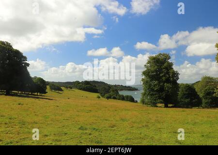 Blick über den Fluss Fal von den Trelissick Wiesen Gärten Stockfoto