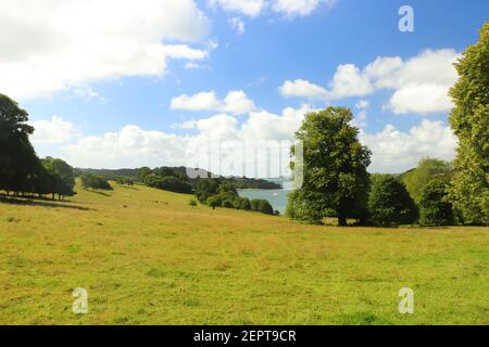 Blick über den Fluss Fal von den Trelissick Wiesen Gärten Stockfoto