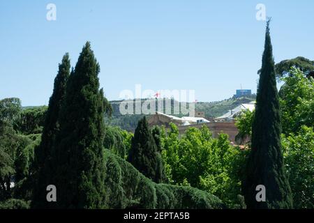 Wunderschöne Landschaft in Tiflis, Georgien mit immergrünen Nadelbäumen, darunter Zypressen, Fichten, Flagge Georgiens in der Mitte unter dem blauen Himmel Stockfoto