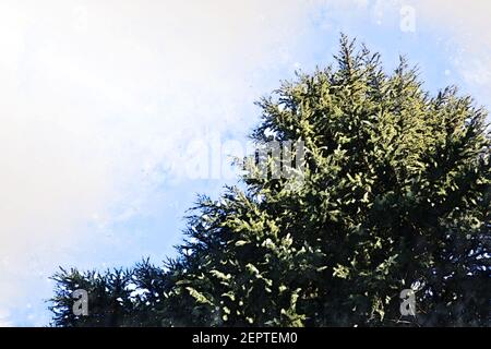 Abstrakt bunten Zweig Baum im Wald auf Aquarell Illustration Malerei Hintergrund. Stockfoto