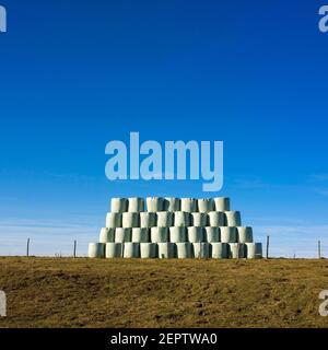 Heuballen stapelten sich nachmittags in einer Pyramidenformation vor einem klaren blauen Himmel in einer ländlichen Landschaft, Cezallier-Plateau, Auvergne Frankreich Stockfoto