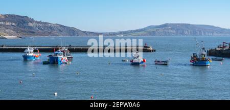 Lyme Regis, Dorset, Großbritannien. Februar 2021, 28th. UK Wetter: Bunte Fischerboote im Hafen am Badeort Lyme Regis an einem Morgen von strahlendem Frühlingssonne und klarem blauen Himmel. Kredit: Celia McMahon/Alamy Live Nachrichten Stockfoto