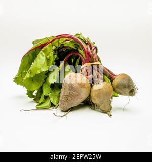 Frisch geerntete Rote Bete mit lebendigen Grüntönen auf einem sauberen Hintergrund, die ihre natürlichen Erdtöne hervorheben Stockfoto