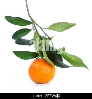 Frisches Orange mit grünen Blättern auf einer Oberfläche mit leuchtenden Farben Stockfoto