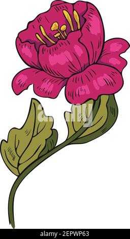Vektor-Illustration einer abstrakten blühenden Blume. Pinkfarbenes Blütenmuster. Stock Vektor