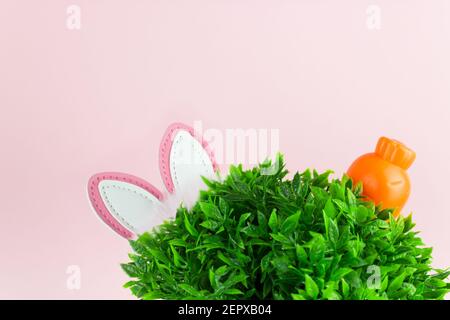 Osterfoto mit Gras, Hasenohren, orangefarbener Karotte auf rosa Hintergrund. Osterhintergrund. Garten oder Wiese im Frühling Stockfoto