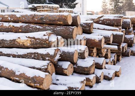 Ein Stapel von Baumstämmen auf einem Sägewerk unter der Schneeschicht in der Wintersaison. Stockfoto