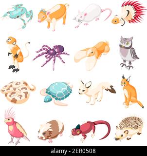 Exotische Haustiere isometrische Symbole Set von Kaninchen Schildkröte Papagei Luchs Ratte Frosch Spinne Affe Igel Eidechse Schlange Eule Cartoon-Figuren vektorgrafik Stock Vektor