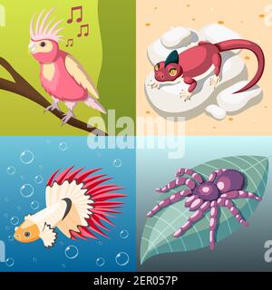 Exotische Haustiere 2x2 Design-Konzept Set aus Reptilien Fisch Insekt Vogel isometrische quadratische Symbole Cartoon Vektor Illustration Stock Vektor