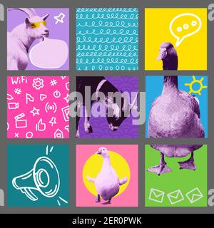 Trendy bunte geometrische abstrakte quadratische Vorlage für Social-Media-Post, Geschichten oder Werbung. Hintergründe gesetzt. Vektor-Doodle-Illustration Stock Vektor