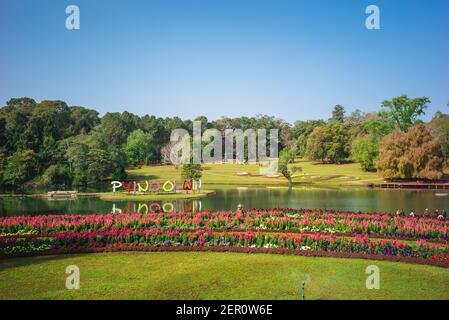 12. Februar 2016: National Kandawgyi Botanical Gardens, ein 177 Hektar großer botanischer Garten in Pyin U Lwin oder Pyin oo lwin, ehemals Maymyo, Myanm Stockfoto