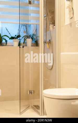 Detailaufnahme einer modernen Dusche mit Toilette im Vordergrund. Die Fliesen sind in einem warmen Braunton und der Duschschirm ist aus Glas Stockfoto