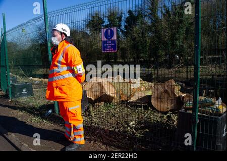 Aylesbury, Buckinghamshire, Großbritannien. 26th. Februar 2021. HS2 haben ein großes Gebiet von Haselnusspappice früher Heimat von Siebenschläfer gefällt. Sie haben auch viele der Bäume im mittelalterlichen Spinney in der kleinen Dean Lane in der Nähe von Wendover, Aylesbury gefällt. Ganze Öko-Systeme wurden bis HS2 heute zerstört, als sie Bäume, die sie in einen Holzhacker geflüllt haben, füllen einen riesigen Moloch mit Holzhackschnitzel. High Speed Rail 2 schnitzt eine riesige Narbe über die Chilterns, ein Gebiet von herausragender natürlicher Schönheit für die umstrittene Bahnverbindung von London nach Birmingham. Quelle: Maureen McLean/Alamy Stockfoto