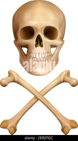 Traditionelles Warnungs-Konzept in realistischem Stil mit Vektorgrafik Schädel und gekreuzte Knochen Stock Vektor