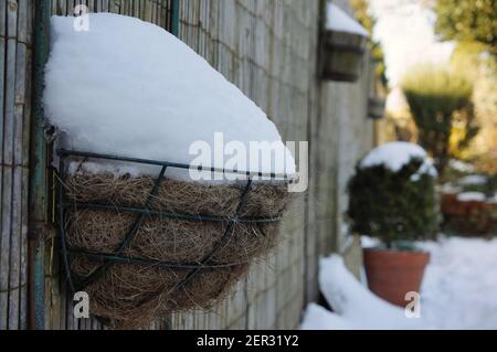 Ein schneebedeckter Hängekorb an einem Gartenzaun mit weichem, natürlichem Hintergrund Stockfoto