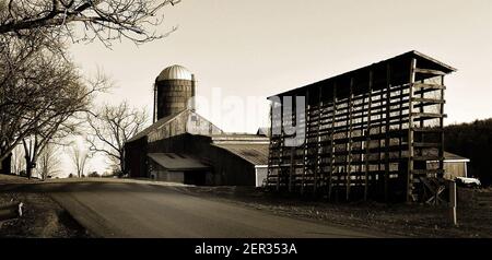 Dies ist eine alte Maiskrippe (Corncrib) und Scheune in der Endless Mountain Region von NE Pennsylvania, USA. Milchprodukte. Stockfoto