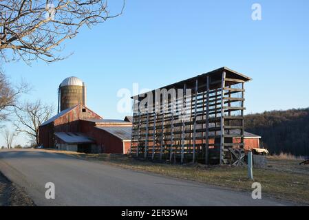 Dies ist eine alte Maiskrippe (Corncrib) und Scheune in der Endless Mountain Region von NE Pennsylvania, USA. Milchprodukte. Stockfoto