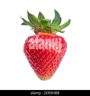 Reife köstliche Erdbeere isoliert auf weißem Hintergrund. Element für Design Stockfoto