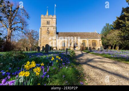 Frühlingszwiebeln auf dem Kirchhof von St. James dem Großen in Birlingham Village, Worcestershire, England Stockfoto