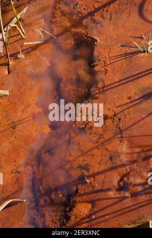 Sickern von eisenreichem Grundwasser in einem Fluss, wobei rot-oranges Eisenoxid und Hydroxid in Schlamm und Wasser gebildet werden Stockfoto