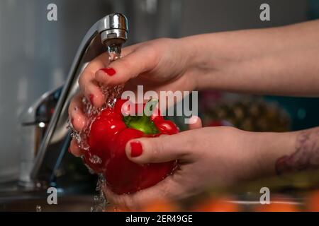 Nahaufnahme Frauen Hände waschen homegrown roten Bio-Paprika mit dem Leitungswasser. Konzept: Gesunder Lebensstil, vegan, vegetarisches Essen, Hausmannskost. Stockfoto