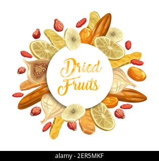 Getrocknete tropische Früchte rund Banner. Zitronenscheibe, Mango und Dogwood, trockener Kumquat, Feige und voll und in Scheiben geschnitten auf Ringbanane, Hagebutte Hand gezeichnet Vektor. Dr Stock Vektor