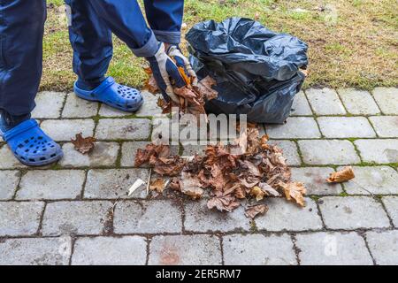 Nahaufnahme des Mannes, der letztes Jahr das Laub sammelte. Konzept der Frühjahrssaison. Stockfoto