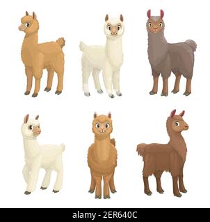 Lama, Alpaka, Guanaco, Lama und vicuna Tiere Cartoon-Vektor-Set. Kamelide Säugetiere mit weißer, brauner und grauer Wolle, niedliche Bauernhof Lama Tiere mit Furr Stock Vektor