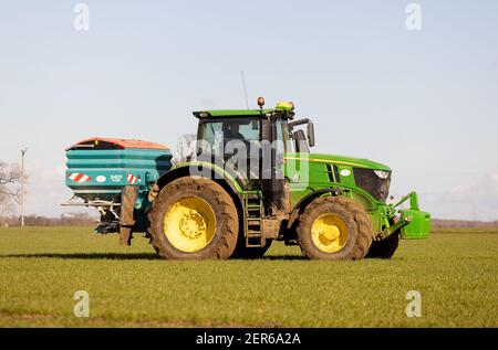 Landwirt, der Traktor fährt und Dünger auf einem Feld im Frühjahr 2021 besprüht. Hertfordshire Großbritannien Stockfoto