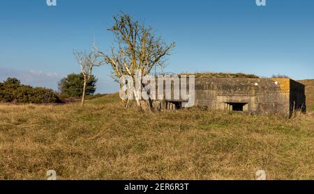 Ein zweieckiger Betonsäulenkasten aus dem Weltkrieg auf Heide in Suffolk, Großbritannien Stockfoto