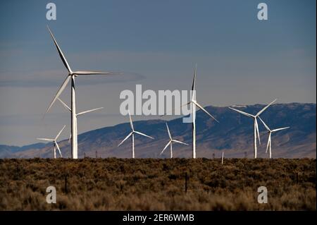 Ely, Nevada, USA. Februar 2021, 26th. Windmühlen werden am 26. Februar 2021 in Spring Valley Wind, Nevada's erstem Windpark, gesehen. Der Hof ist im Besitz und wird von Pattern Energy betrieben. Das Werk befindet sich in Spring Valley, nordwestlich des Great Basin National Park und etwa 30 Meilen östlich von Ely, Nevada. Das 152 errichtete 2012-Megawatt-Projekt nutzt 66 Siemens SWT-2.3-101-Windenergieanlagen und ist an das Übertragungsnetz NV Energy angeschlossen. Quelle: David Becker/ZUMA Wire/Alamy Live News Stockfoto