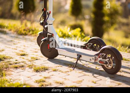 Zwei neue Elektroroller im Mietpark bereit zu gehen. Kostenpflichtige Vermietung von Motorrollern. Moderne Ökotransporte, Verkehrsinfrastruktur. Stockfoto